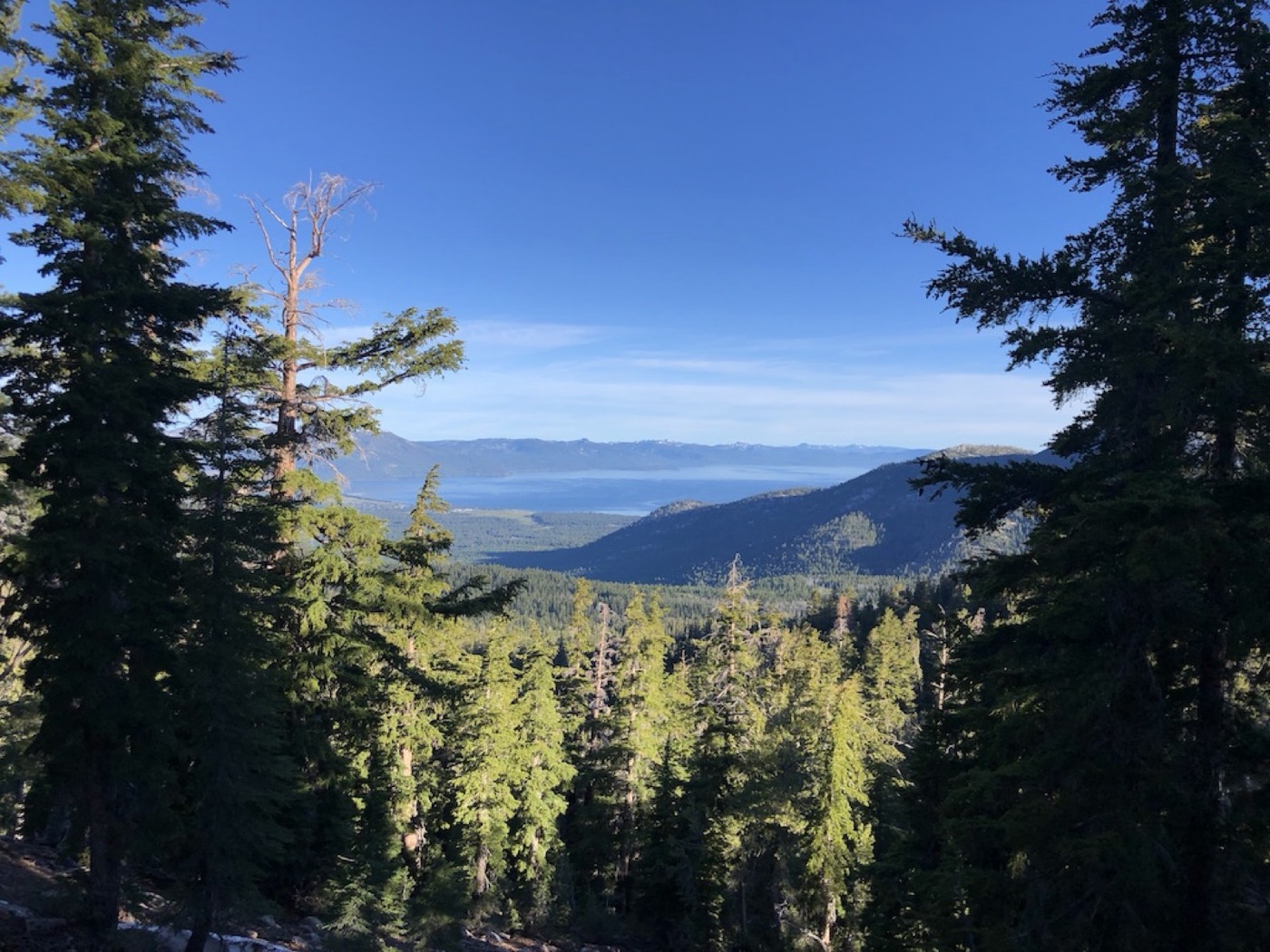 Panoramablick von den Höhen des Rim Trails über den Lake Tahoe